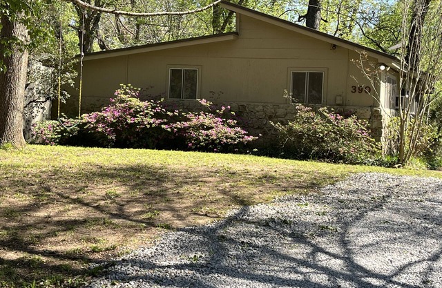 Cozy family fish camp on the Little Red River, a premier trout fishing stream!