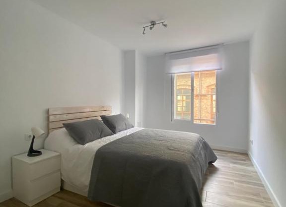 Cozy flat in La Petxina A
