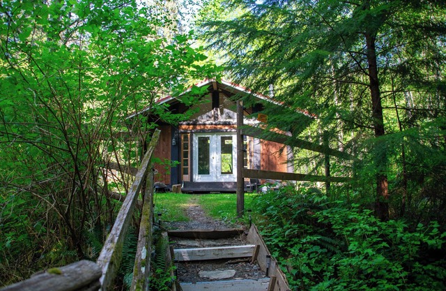 Cozy Forest Cabin in the Beautiful Sayward Valley