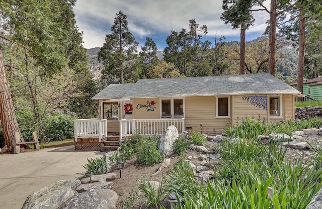 Cozy Forest Falls Rental Cabin Near Hiking Trails!