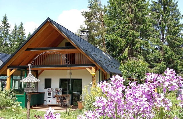 Cozy Forest Retreat Perfect for Families with Kids