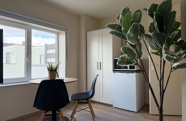 Cozy & Fully Equipped Studio in Eindhoven 03