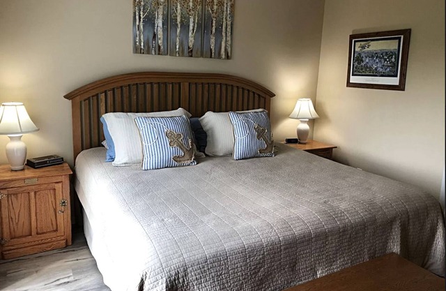 Cozy Getaway Near All the FUN! Harbor Springs/Petoskey