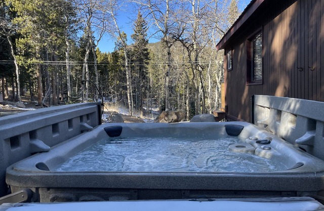Cozy home in the Colorado mountains with hot tub-close to Denver & Boulder