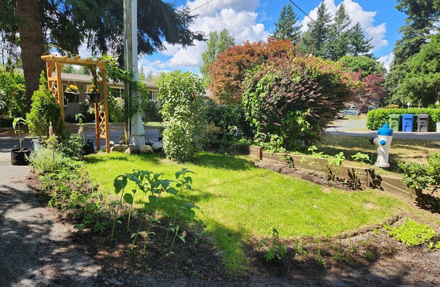 Cozy homestead for your western cowboy adventures right in downtown abbotsford!