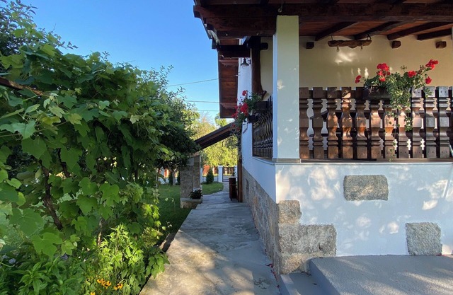 Cozy house in nature with 3 bedrooms