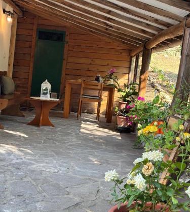 Cozy house in the Chianti region