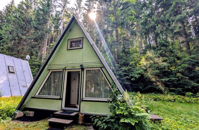 Cozy hut in the middle of the forest. Pet friendly!