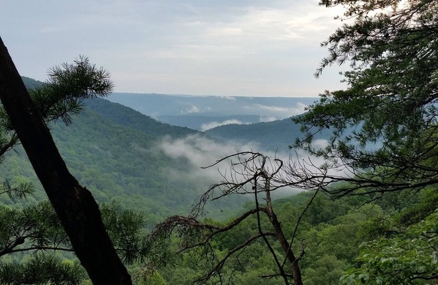 Cozy in the woods, your starting point for adventure or relaxation.