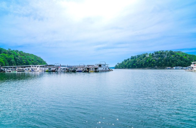 Cozy Lake Cumberland Retreat with hot tub, just above Jamestown Marina!