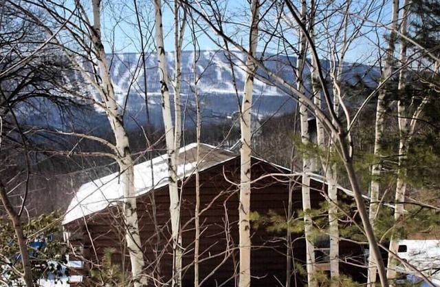 Cozy Log Cabin in the Catskills Belleayre Ski Mountain