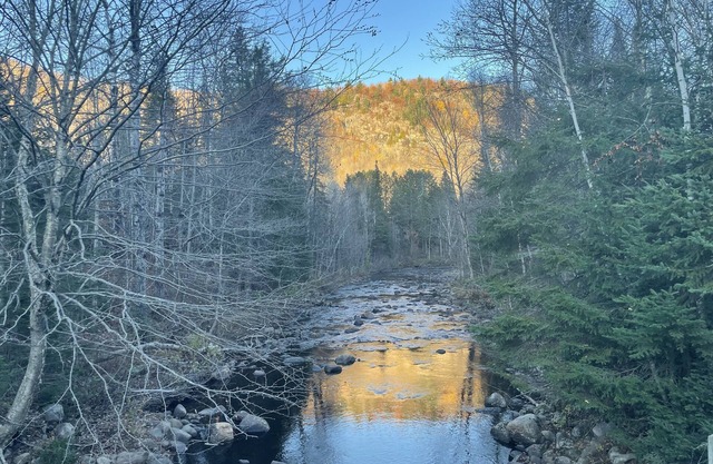 Cozy mini ski retreat or hiking paradise for nature lovers. Pet friendly.