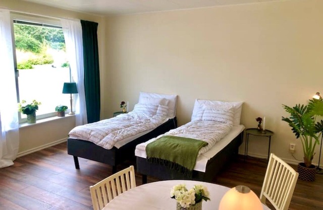 Cozy Modern Studio Apartment