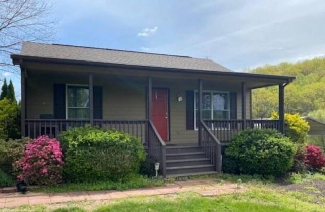 Cozy Mountain Cottage -Pet Friendly, Brew Ridge Trail!