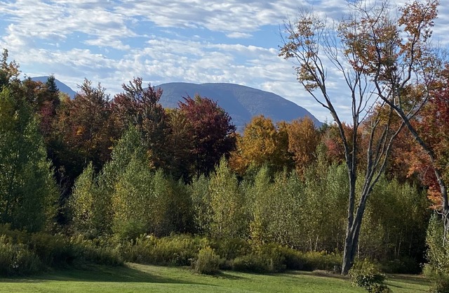 Acogedor refugio de montaña, escapada perfecta a Catskills