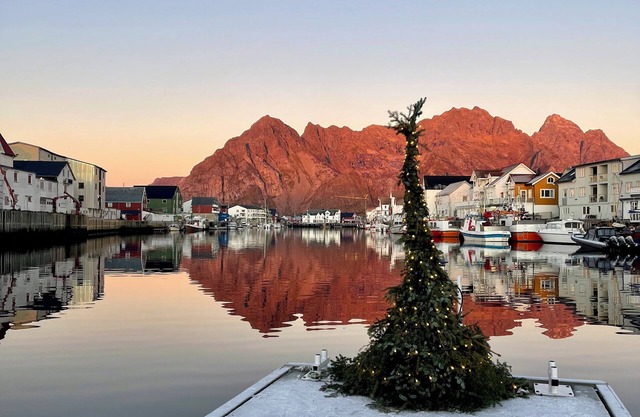 Cozy new 1-bedroom apartment in Henningsvær