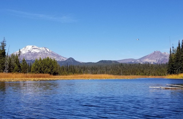 Acogedor NW Mount Bachelor Home, cerca del acceso al río