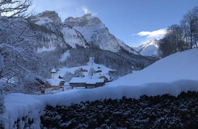 Cozy One Bedroom Flat In Gsteig