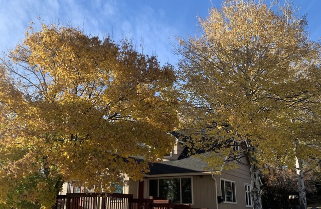 Cozy, peaceful getaway - less than 5 min from downtown Klamath