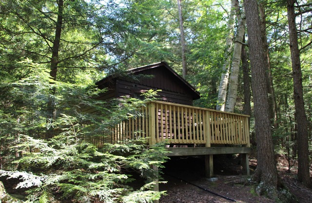 Acogedora cabaña para mascotas para dos - 3 millas de Saranac Lake - acceso a lago