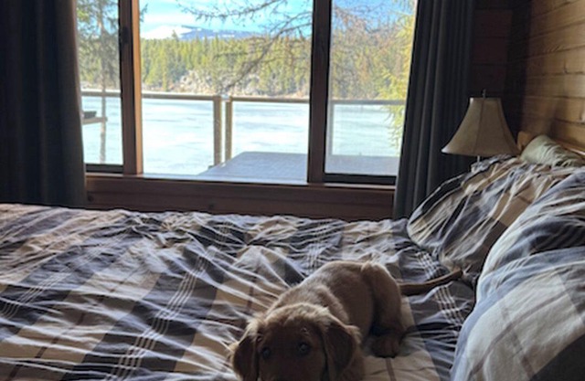 Cozy Pet-Friendly Cabin at Idabel Lake - Two bedrooms, sleeps 6, close to skiing
