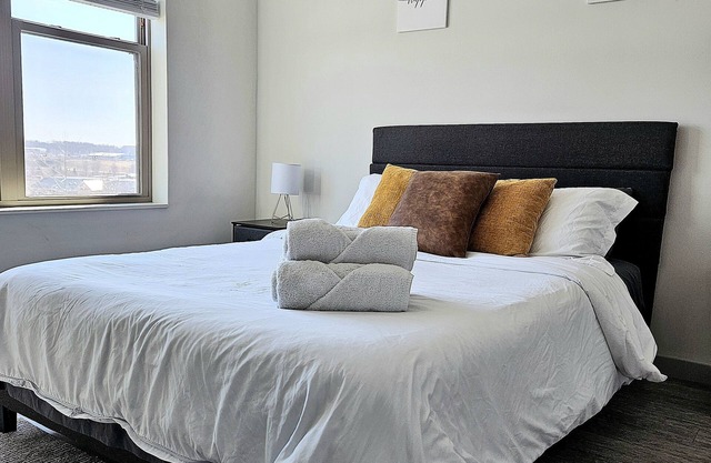 Cozy, Pet Friendly, Prime Location, High Speed Internet