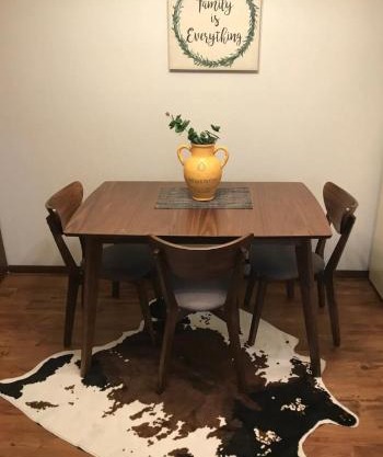 Cozy Remodeled Apartment near Green Bay & Appleton