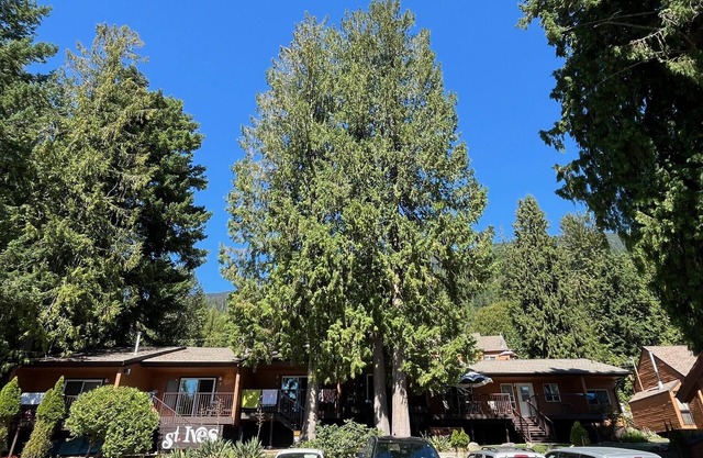 Cozy retreat on the Shuswap Lake. 1 bedroom condo with loft. Pet-friendly.