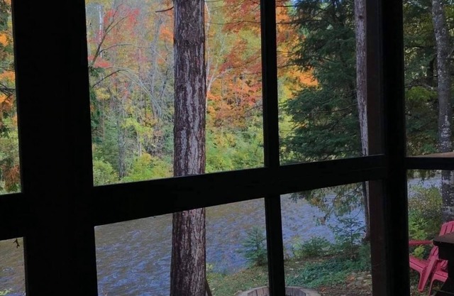 Cozy river cabin, steps away from blue ribbon fishing hiking trails.