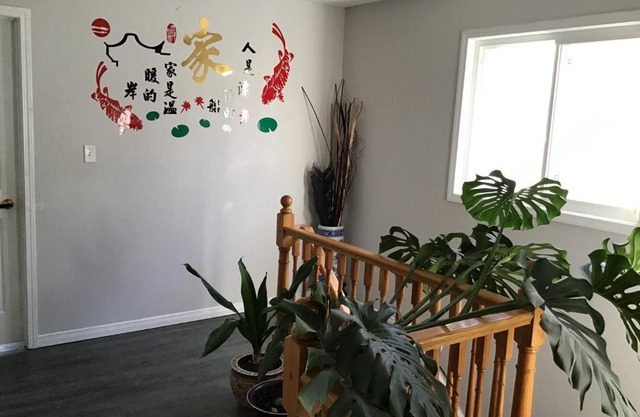 Cozy room D