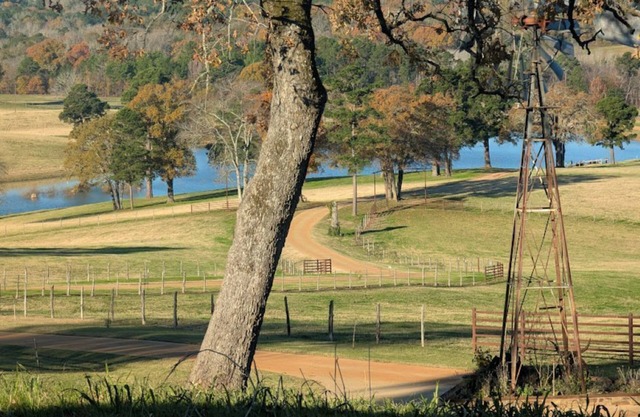 Cozy RV - Awesome View - Fishing & Pet Friendly!