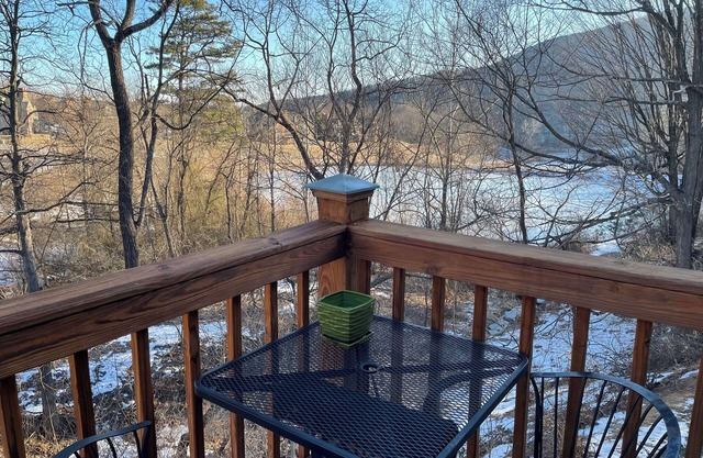 Cozy Ski Chalet at Whitetail Resort ....right next to the slopes!