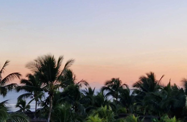 Cozy, spacious apartment with amazing sunset over the ocean - 2 min from beach!
