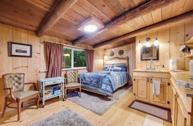 Cozy studio cabin, nestled in the trees, under a mile to Mt. Rainier entrance.