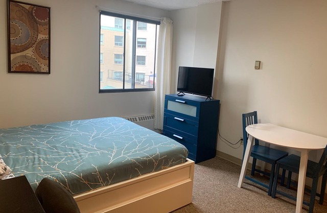 Cozy Studio Escape Near Bow River & Downtown Core