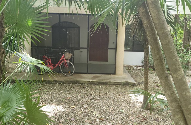 Acogedor estudio en la jungla!