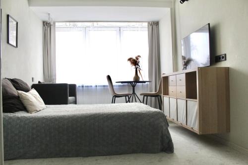 Cozy Studio near Druskininkai