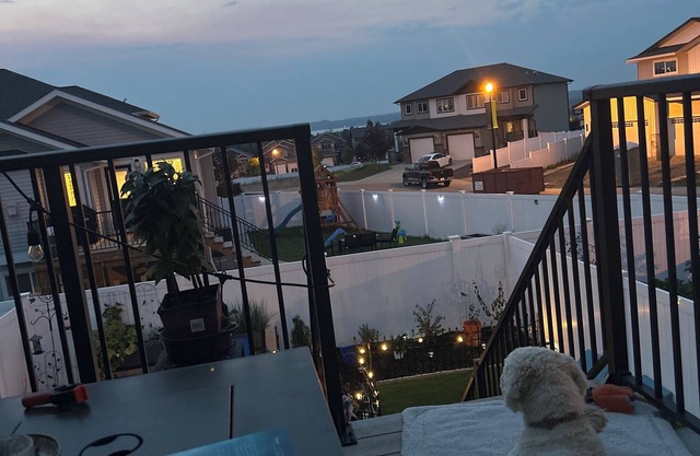 Cozy studio, walking trails, beach, lake view
