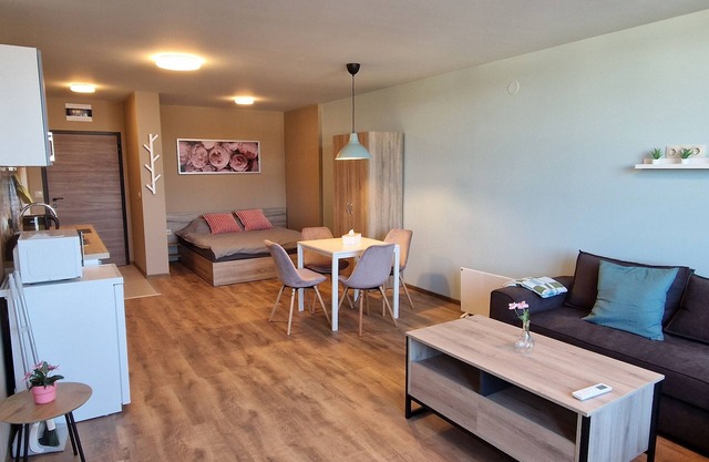 Cozy studio with AC and WiFi in fabulous Samokov