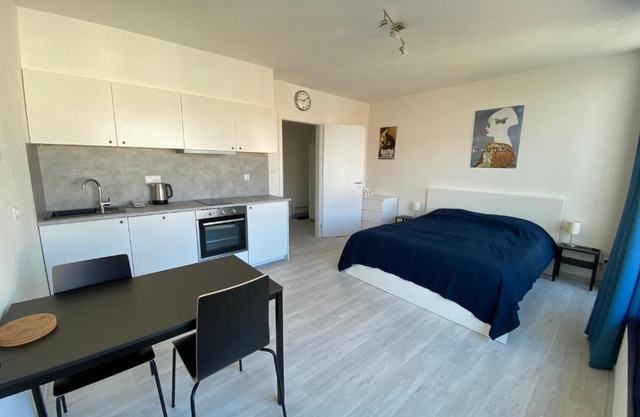 COZY STUDIO WITH GARAGE IN THE CITY CENTER