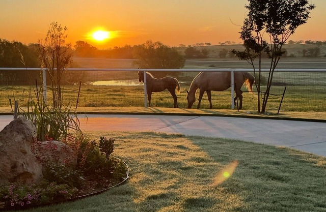 Cozy studio with queen pullout sofa on scenic working ranch in Fort Worth.