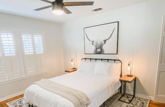 Cozy & Stylish Home in the heart of San Antonio!