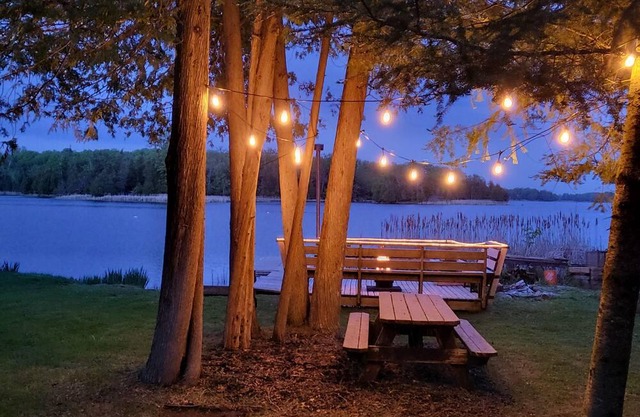 Cozy tiny one bedroom cabin on the Trent River