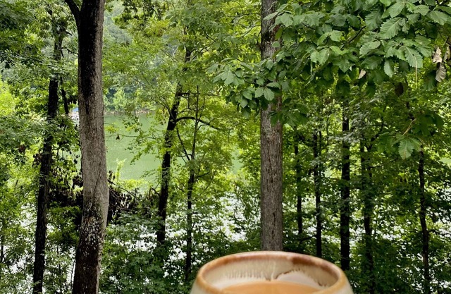 Cozy Waterfront Lake Home on Nolin Lake & Close to Mammoth Cave
