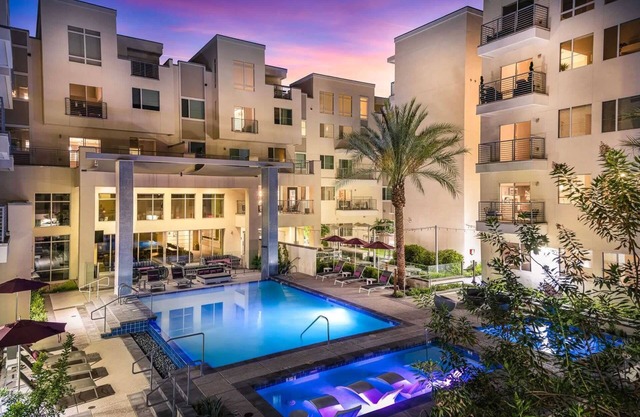 CozySuites Paradise under the palm trees! 14