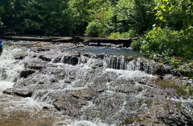 Creek Home with Waterfalls