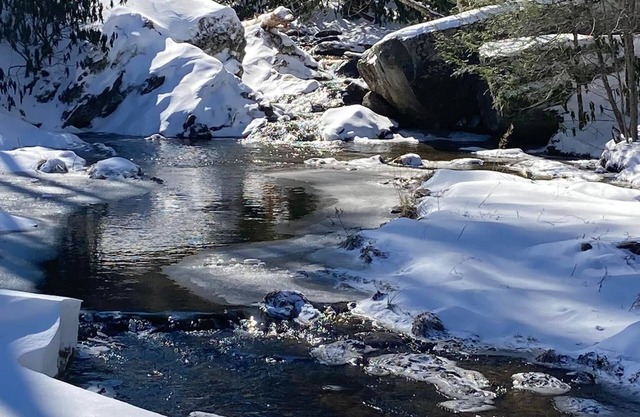 Creek Side Cottage in Valle Crucis