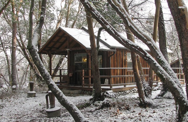 Cabaña Creekside: una delicia tranquila y boscosa