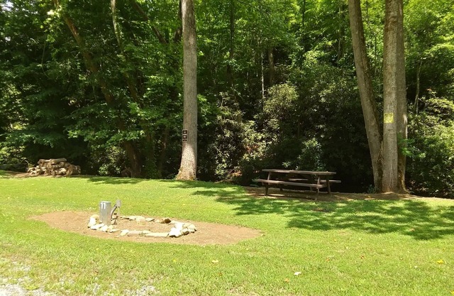 Creekside, Private property. No crowds. Quiet. Fly fish out your door. RV site