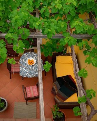 Cretan Magnolia Gem - Smari Cozy Getaway